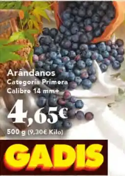 Gadis Arándanos oferta