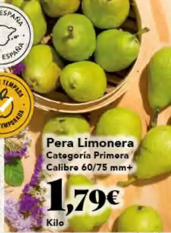 Gadis Pera Limonera oferta