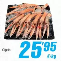 Consum Scottex - papel higiénico doble capa oferta