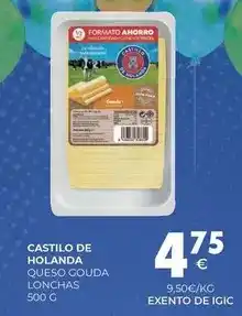 CashDiplo Castillo de holanda - queso gouda lonchas oferta