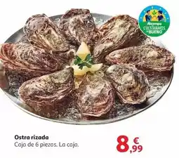 CashDiplo Diamante - ketchup oferta