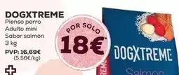 Kiwoko Dogxtreme - pienso perro adulto mini sabor salmon oferta