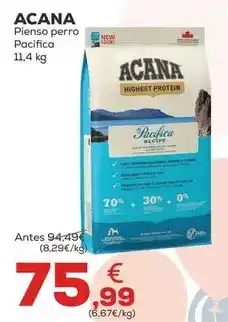 Kiwoko Acana - pienso perro pacifica oferta