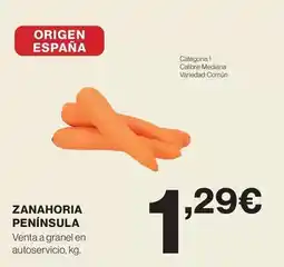 Tú Brico-Marian Philips - flexo tilpa oferta