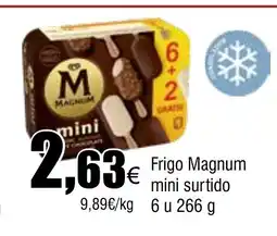Cash FROIZ Frigo Magnum mini surtido oferta