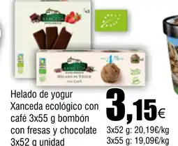 Cash FROIZ Helado de yogur Xanceda ecológico con café oferta