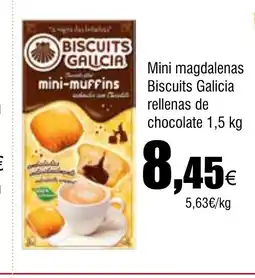 Cash FROIZ Mini magdalenas Biscuits Galicia rellenas de chocolate oferta