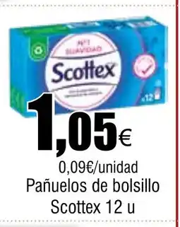 Cash FROIZ SCOTTEX Pañuelos de bolsillo oferta