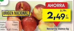 FROIZ Nectarina blanca oferta