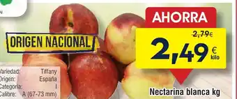 FROIZ Nectarina blanca oferta