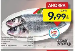 FROIZ Lubina oferta