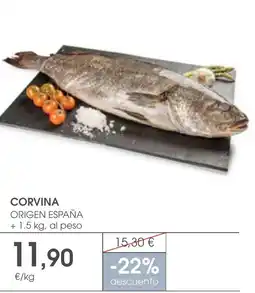 Supermercados Plaza Corvina oferta