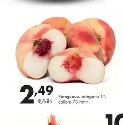 Supermercados Lupa Paraguayo oferta