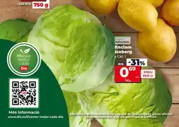 Dia Enciam Iceberg oferta