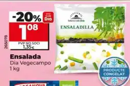 Dia Ensalada oferta