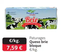GM Cash & Carry PATURAGES Queso brie bloque oferta