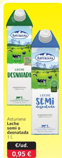 GM Cash & Carry ASTURIANA Leche semi o desnatada oferta