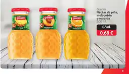 GM Cash & Carry GRANINI Néctar de piña, melocotón o naranja oferta