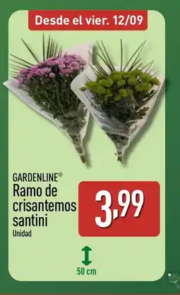 ALDI GARDENLINE Ramo de crisantemos santini oferta