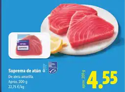 Lidl Suprema de atún oferta