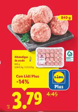 Lidl Albóndigas de cerdo oferta