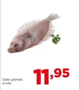 Alimerka Gallo grande oferta