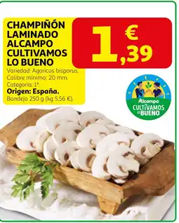 Alcampo Champiñón laminado alcampo cultivamos lo bueno oferta