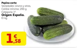 Alcampo Pepino corto oferta