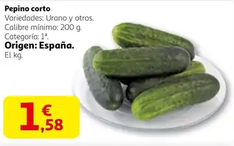 Alcampo Pepino corto oferta