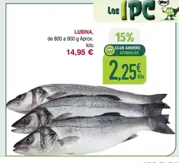 Masymas Lubina oferta