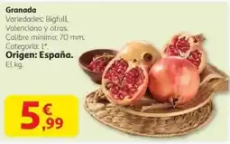Alcampo Granada oferta