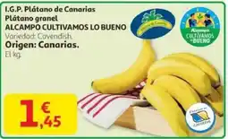 Alcampo I.g.p. plátano de canarias plátano granel alcampo cultivamos lo bueno oferta