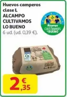 Alcampo Huevos camperos alcampo cultivamos lo bueno oferta
