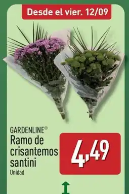 ALDI GARDENLINE Ramo de crisantemos santini oferta