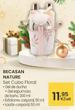 FROIZ Solís - tomate frito oferta