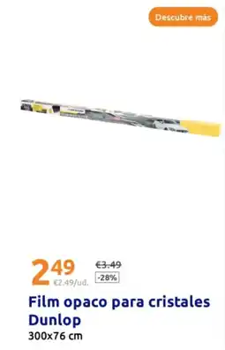Action DUNLOP Film opaco para cristales oferta