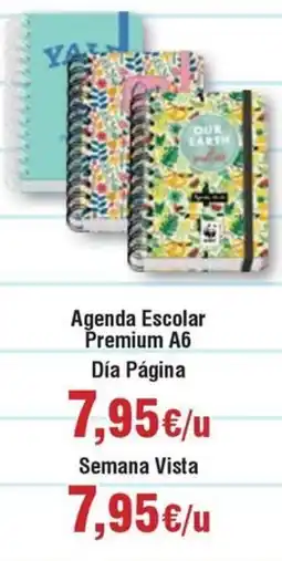 Hiper FROIZ Agenda Escolar Premium A6 oferta