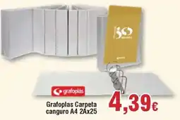 Hiper FROIZ Grafoplas Carpeta canguro A4 2Ax25 oferta