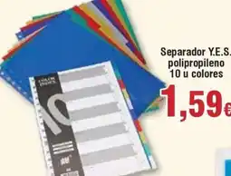 Hiper FROIZ Separador Y.E.S. polipropileno 10 u colores oferta