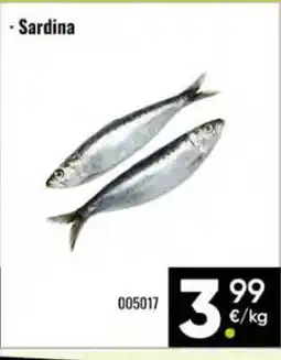 Family Cash Sardina oferta