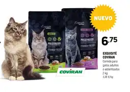 Coviran EXQUISITÉ COVIRAN Comida para gatos adultos o esterilizados oferta