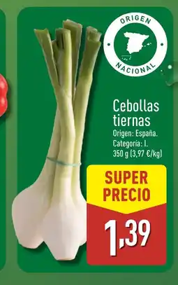 ALDI Cebollas tiernas oferta
