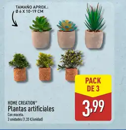 ALDI HOME CREATION Plantas artificiales oferta