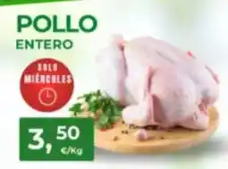 Quality Supermercados Solo - pollo oferta
