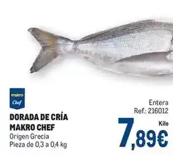 Makro Makro - dorada de cria oferta