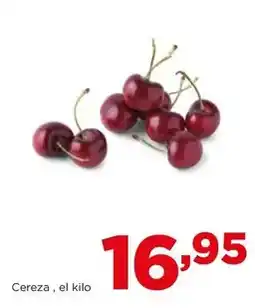 Ocine Crivit - sandalias de trekking oferta