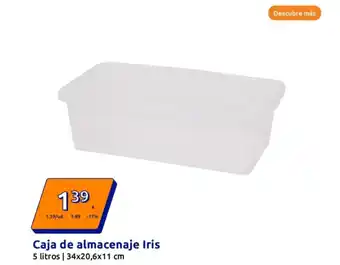 Action Caja de almacenaje Iris oferta