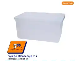 Action Caja de almacenaje Iris oferta