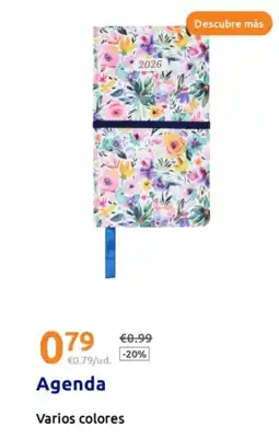 Action Agenda oferta