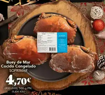 Gadis Buey de mar oferta